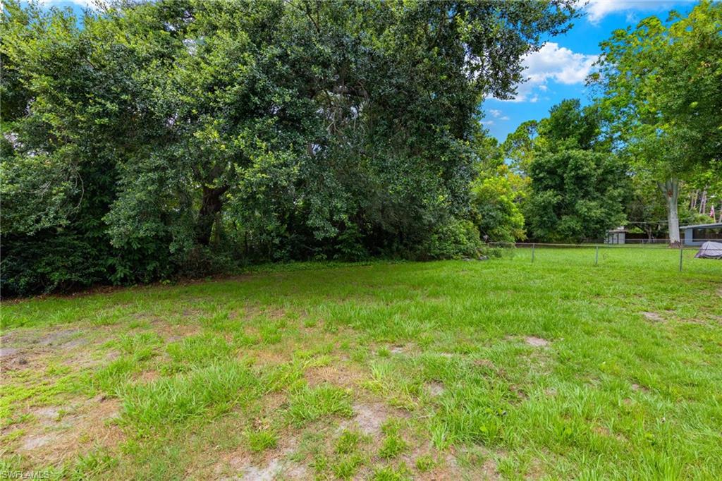 FORT MYERS SHORES - Residential