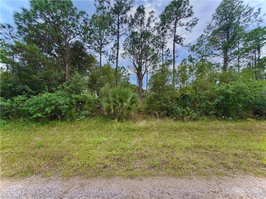 GREAT LOCATION …. Nestled on a quiet street Just minutes from major amenities with a quick commute to Fort Myers! Come build your DREAM HOME or INVEST today.