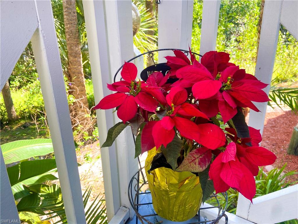 MANGROVE BAY CONDO - Residential