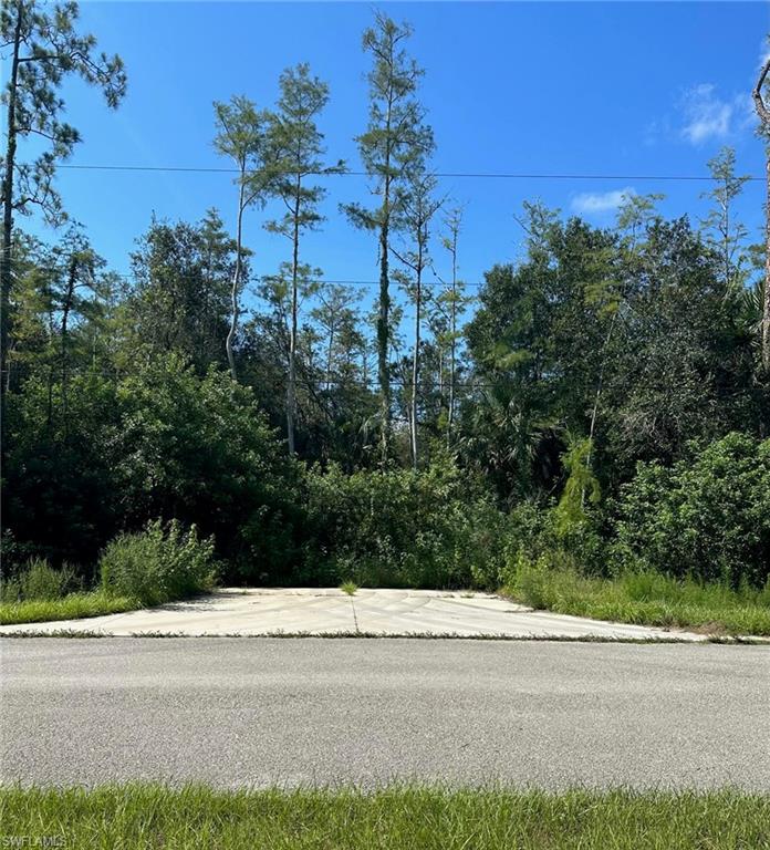 GOLDEN GATE ESTATES - Land