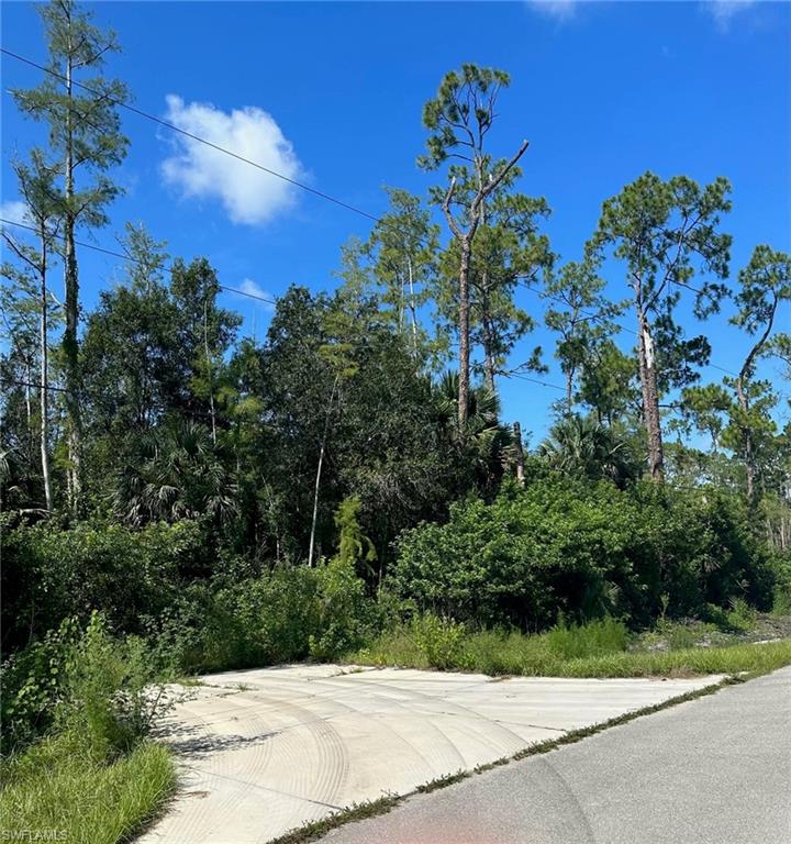 GOLDEN GATE ESTATES - Land