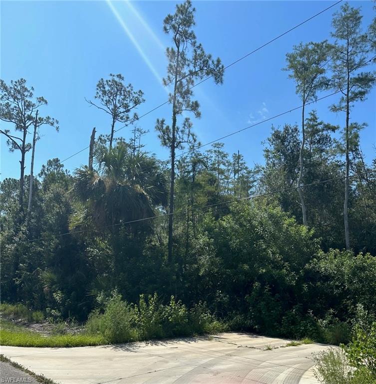 GOLDEN GATE ESTATES - Land