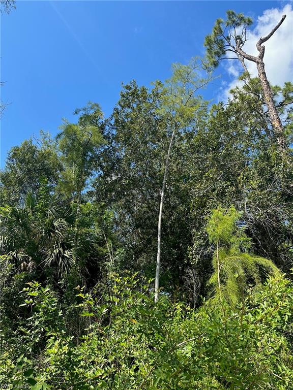 GOLDEN GATE ESTATES - Land