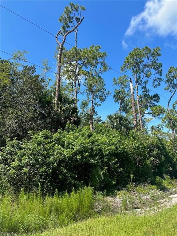 GOLDEN GATE ESTATES - Land