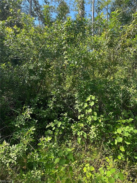 GOLDEN GATE ESTATES - Land