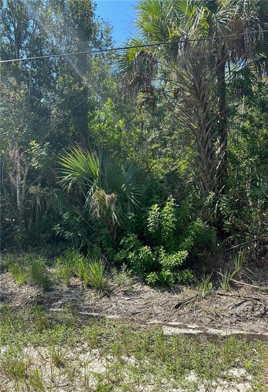 GOLDEN GATE ESTATES - Land