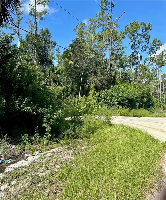 GOLDEN GATE ESTATES - Land