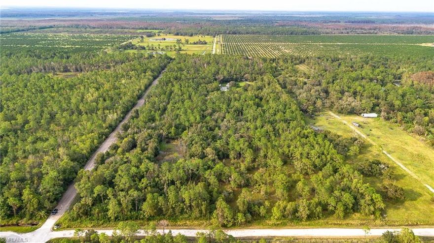 Embrace the Beauty and Potential of this remarkable 9.74-acre wooded lot! Perfectly square in shape and partially fenced, this property is a true Natural Retreat. Towering trees and lush foliage provide privacy and a scenic backdrop for your vision, whether you dream of a Secluded Estate, a Weekend Getaway, or an Investment Opportunity. This versatile lot could be divided into Two Parcels, providing the flexibility to create multiple homesites or keep it as one Expansive Sanctuary. With ample space for building and surrounded by nature, this property is ideal for those seeking peace, privacy, and endless potential. The Corkscrew area is bordered by approximately 64,000 acres of preservation land including Corkscrew Swamp Sanctuary, CREW Bird Rookery and Lake Trafford. Don't miss out on this rare opportunity to own a private, wooded haven!