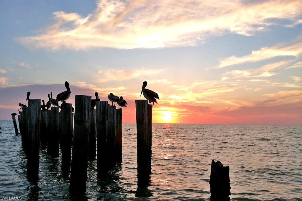 BLACK BEAR RIDGE - Residential Lease