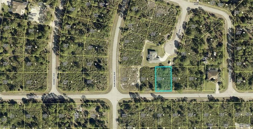 This great lot is located just south of Hwy 82 with easy access to Fort Myers and Punta Gorda airports, two spring training facilities and beaches!  This area has several new construction homes in various stages of being built, making it the perfect place for your dream home!