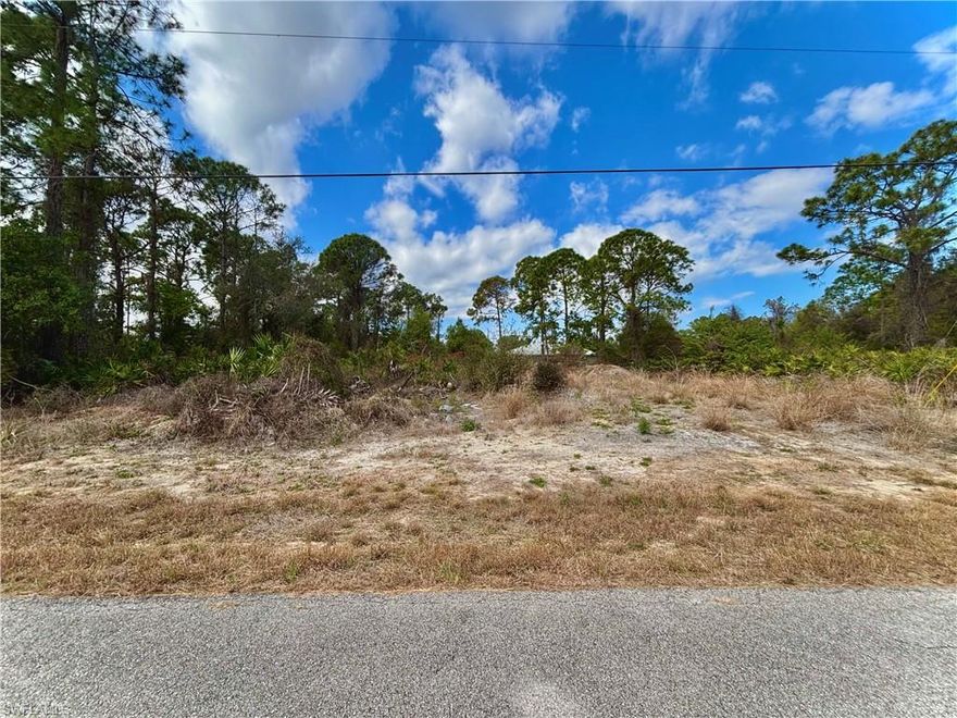GREAT LOCATION on a quiet paved street with utilities available just minutes from major amenities with a quick commute to Fort Myers! Come build your DREAM HOME or INVEST today.