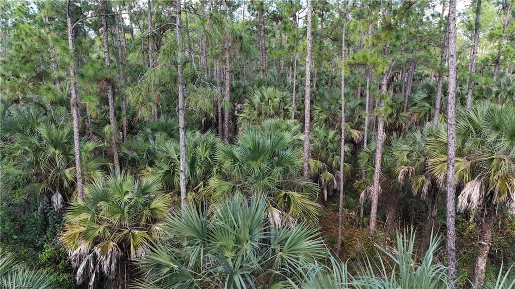 GOLDEN GATE ESTATES - Land