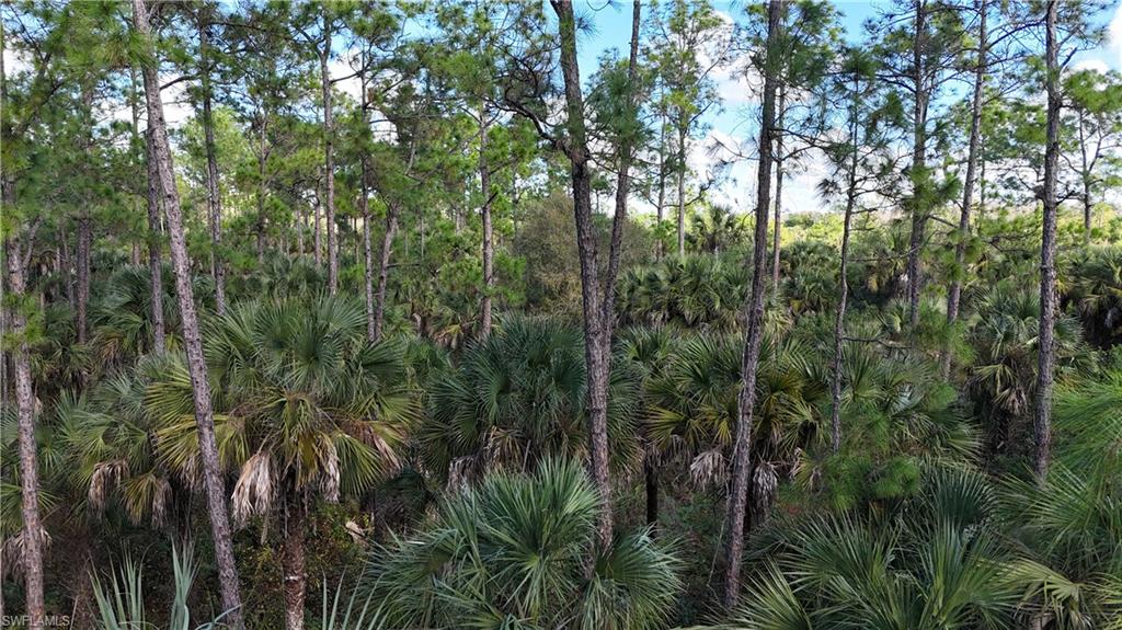 GOLDEN GATE ESTATES - Land