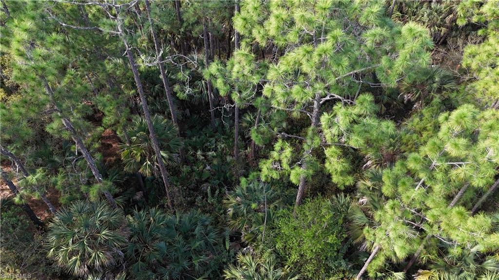 GOLDEN GATE ESTATES - Land