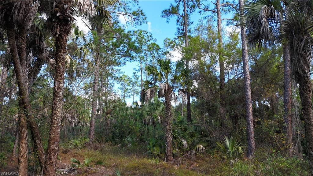 GOLDEN GATE ESTATES - Land