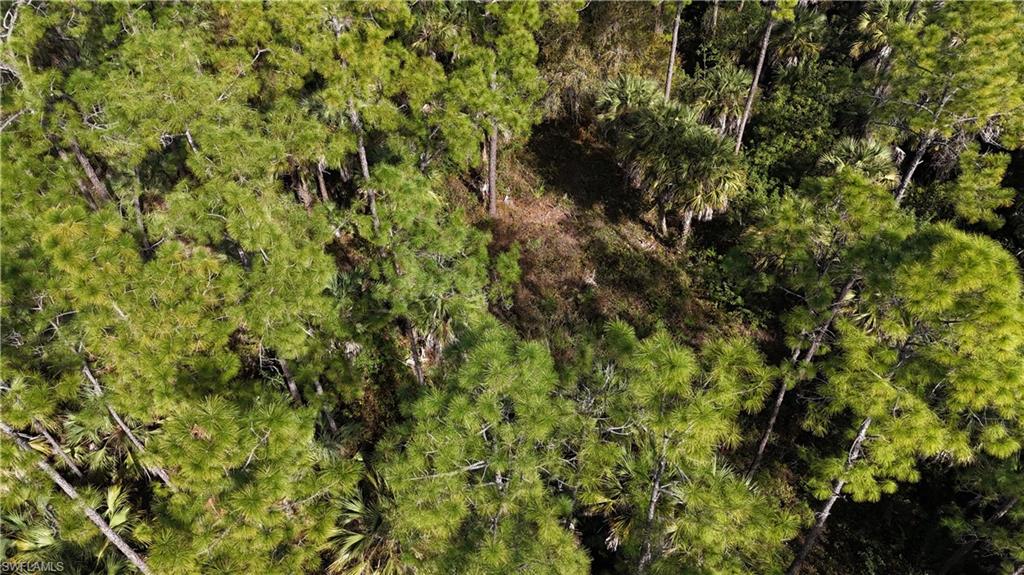 GOLDEN GATE ESTATES - Land