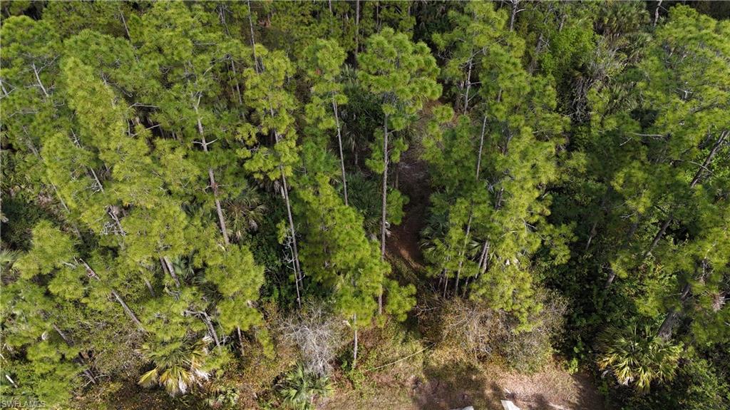 GOLDEN GATE ESTATES - Land