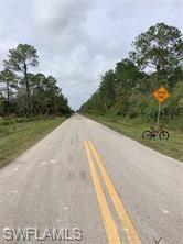 GOLDEN GATE ESTATES - Land