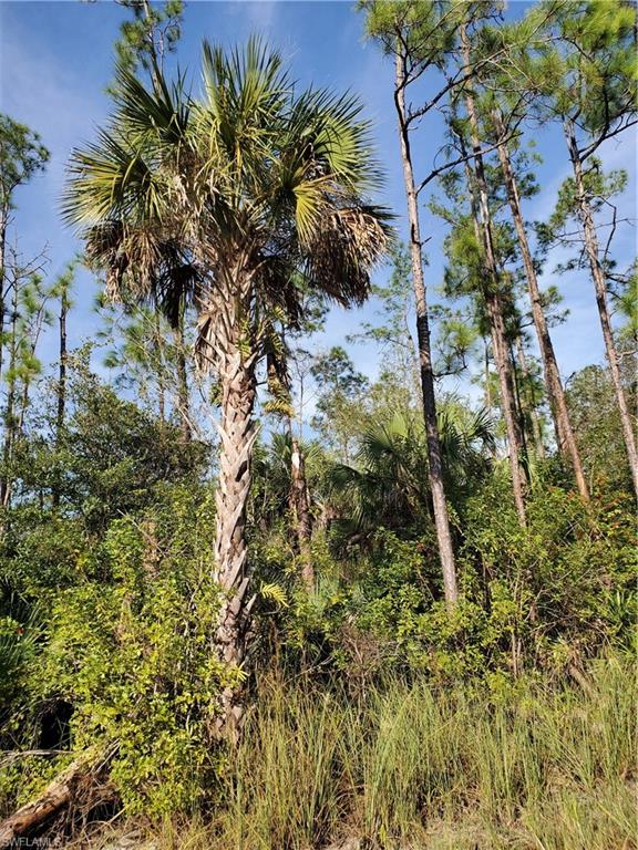 GOLDEN GATE ESTATES - Land