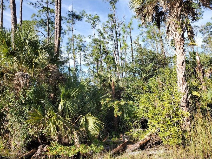 Tons of new construction around this area. Features easy access to Immokalee Rd via Randall with up and coming shops, groceries, pharmacy and more!