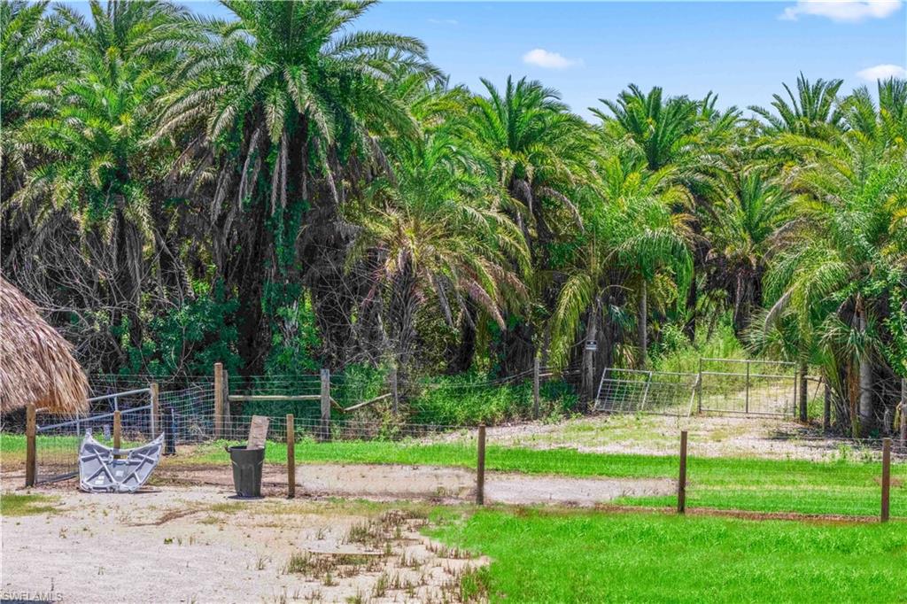 MASTERS LANDINGS - Land