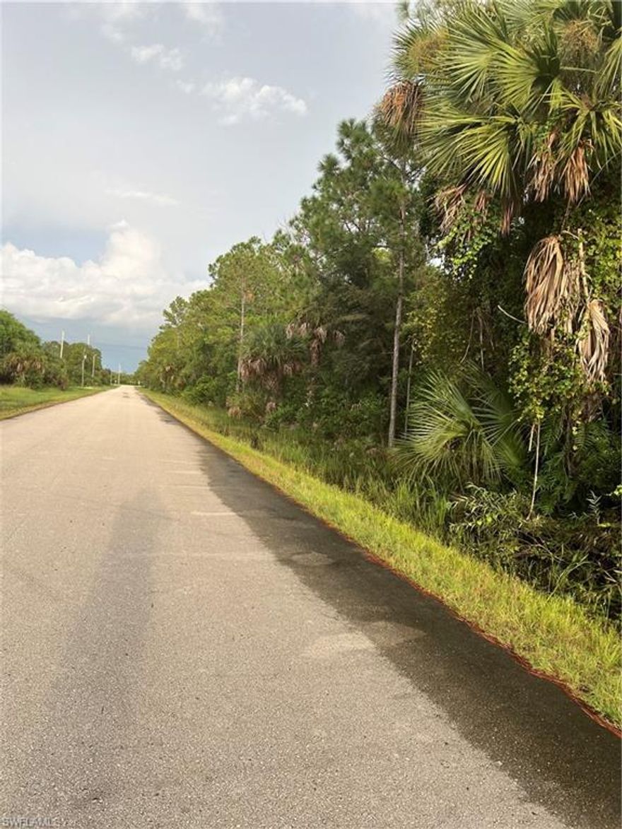 A beautiful lot close to Immokalee Rd and Randall Blvd.