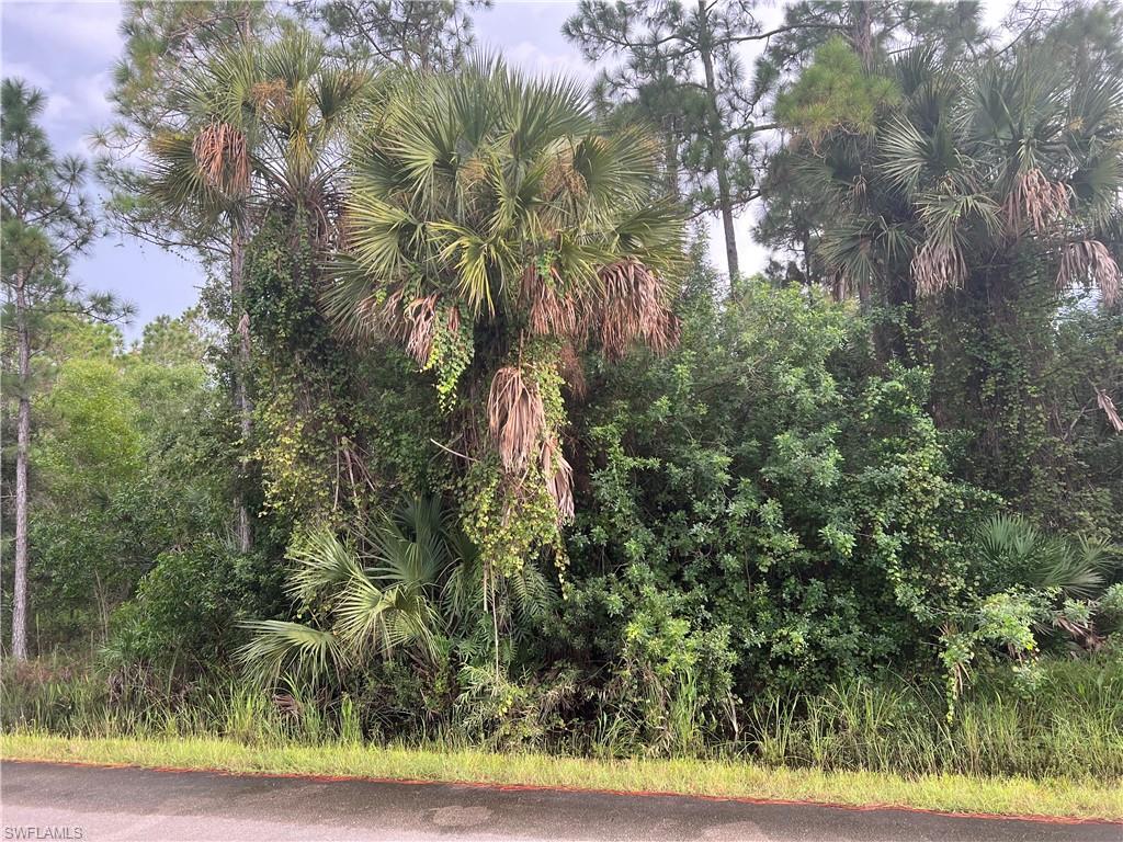 GOLDEN GATE ESTATES - Land