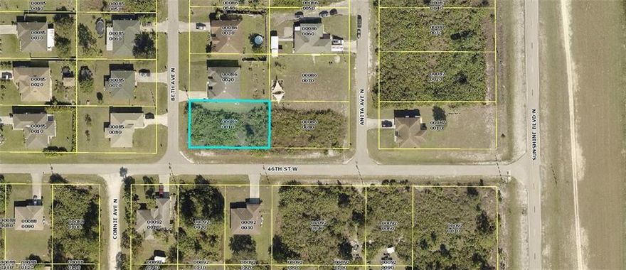 Oversized corner lot in a SUPER location! Located a block off Sunshine Blvd, this parcel is on the corner so you have extra room and less neighbors for maximum privacy. Buy and build your dream home today or hold for future investment as taxes are LOW. Lots of new homes in the up and coming location in Lehigh Acres! Sellers have multiple parcels available.
