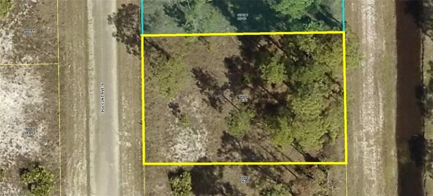 Really nice high & dry rare side-by-side on fresh water canal premium homesites with thinned pines & low grasses nearly 1/4 acre each homesite (width 82' x 125' deep 10,250 Sq. Ft) in a quiet area of single family homes in LEHIGH ACRES. This property has Southeastern on canal morning views & Western afternoon views at the front of the homesite with quick & easy access to Columbus Blvd, SR-82, Lee Blvd including close acess to shopping, restaurants, boating, fishing, tennis, golfing, beaches, recreation, schools, employment, SWFL Inter Airport & all that beautiful SW Florida has to offer. This is 1 of 2 rather rare homesites side-by-side (749 & 751 Puccini Avenue South Lehigh Acres, Florida 33974) being sold together totaling nearly 1/2 Acre (20,500 Sq. Ft.). Build your dream or vacation home(s) now and/or save these special area homesites for later. Don't miss this unique opportunity to purchase these 2 premium homesites properties for only $8,995 each with SELLER DIRECT FINANCING with $0 (ZERO) down, no credit, income or job checks for ONLY $98.00 per month payment for each property. Personal checks OK. Don't wait too long or they will be gone ... you'll be so glad you did...