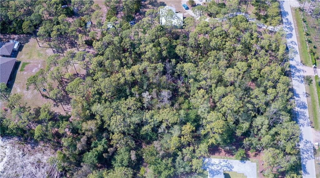 SAN CARLOS ESTATES - Land