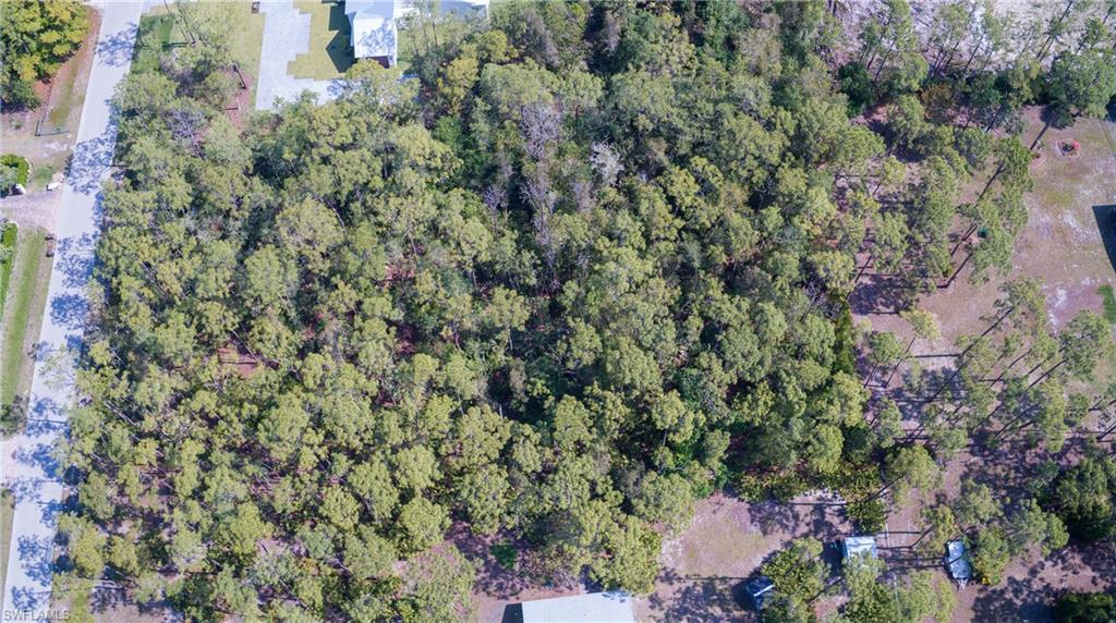 SAN CARLOS ESTATES - Land