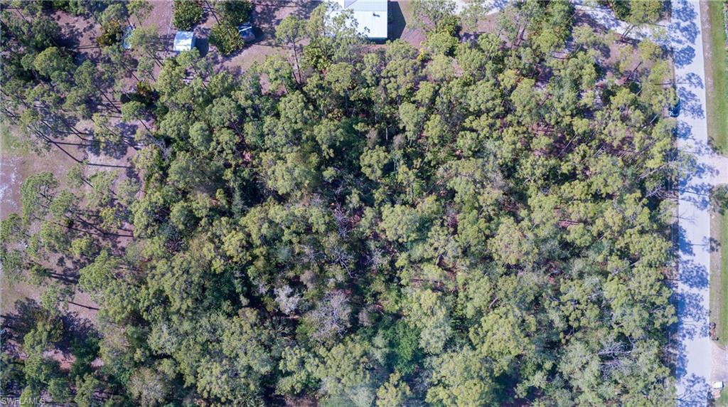 SAN CARLOS ESTATES - Land