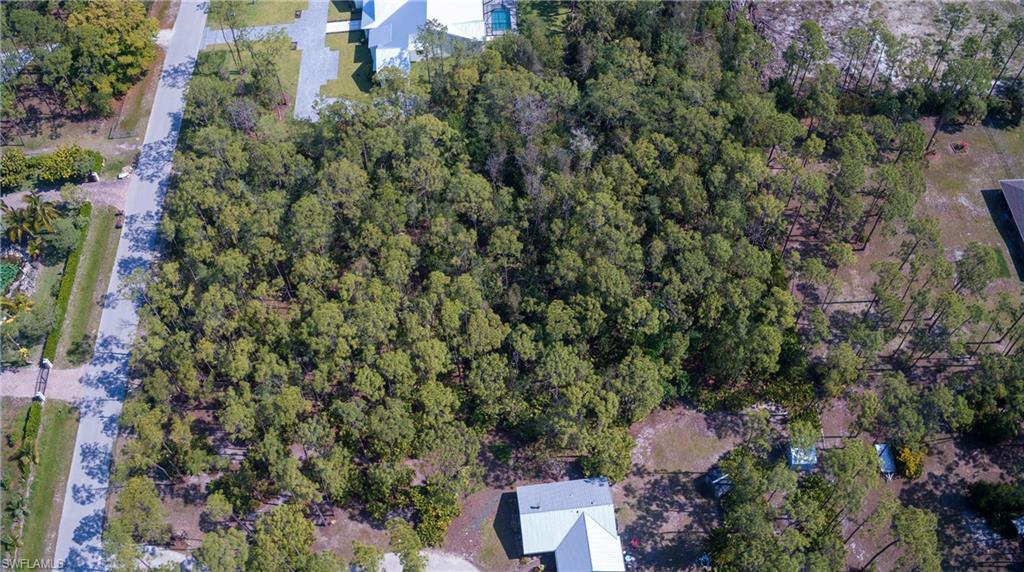 SAN CARLOS ESTATES - Land