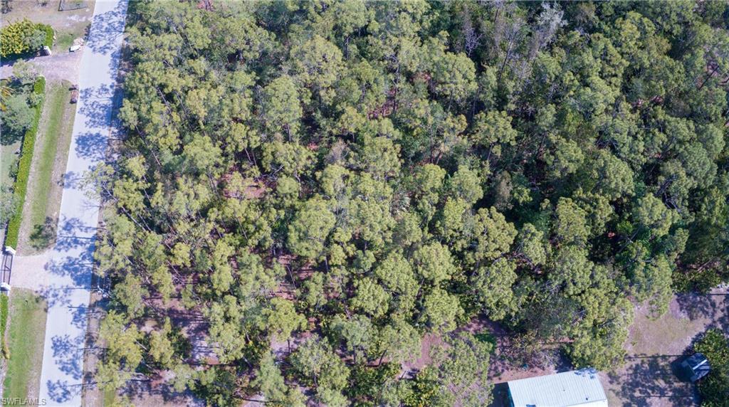 SAN CARLOS ESTATES - Land