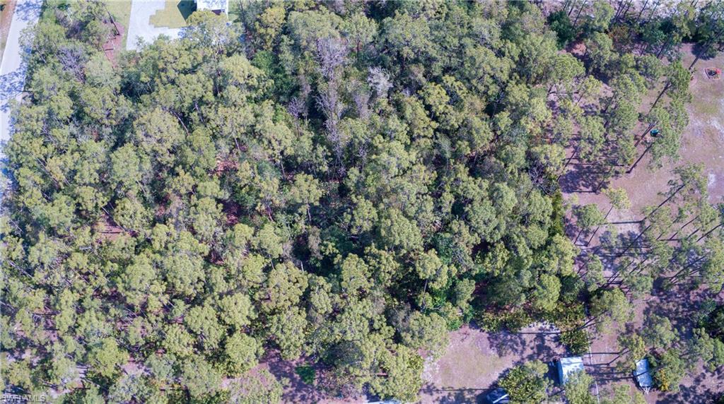 SAN CARLOS ESTATES - Land