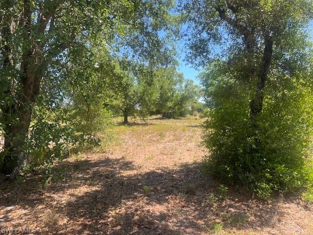 WHEELERS SUBD - Land