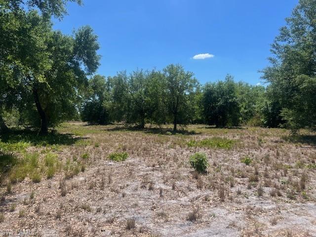 WHEELERS SUBD - Land