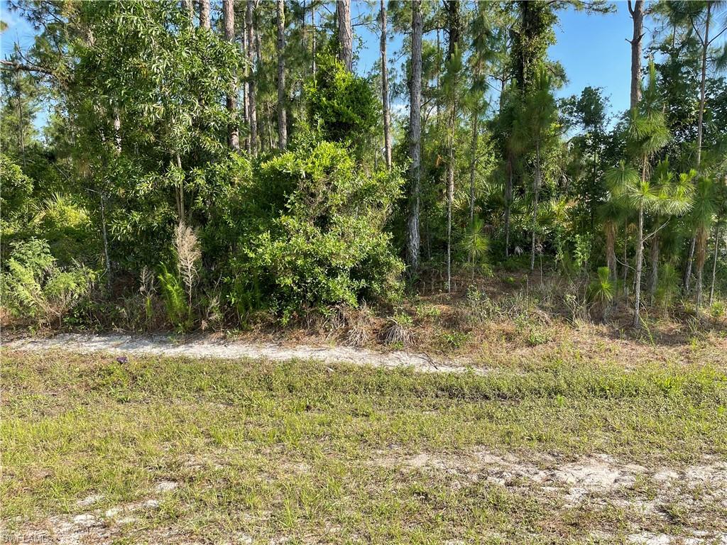 GOLDEN GATE ESTATES - Land