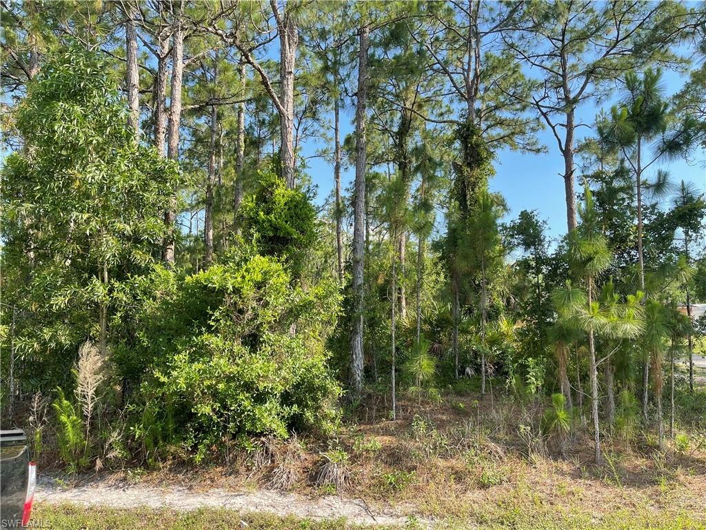 GOLDEN GATE ESTATES - Land