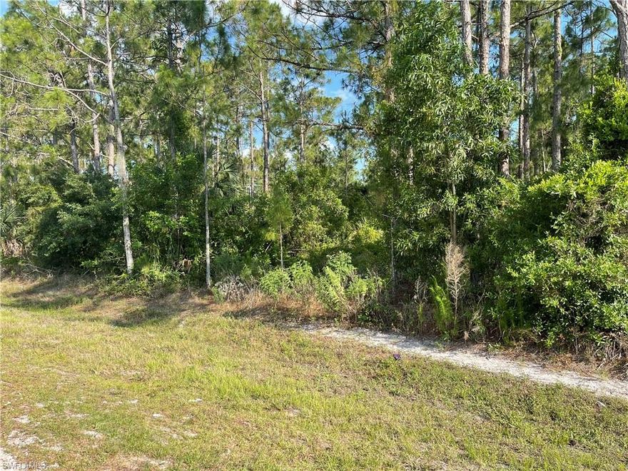 **Beautiful 2.27-acre lot located in Golden Gate Estates, close to Publix and the gas station, in a growing area with great potential. Perfect to build your dream property with plenty of space for future projects, gardens, or recreational areas. The property offers paved road access, single-family residential zoning, NO HOA, and no restrictions, giving you freedom and flexibility for development. A fantastic opportunity for investment with high appreciation potential and easy access to the city. Don’t miss this opportunity!