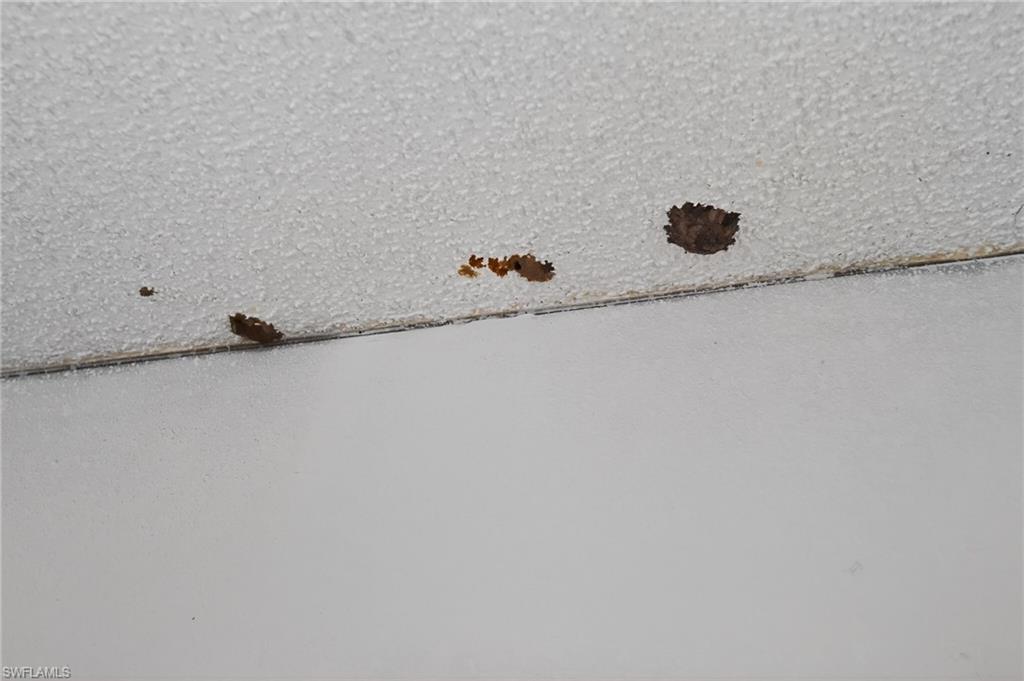 ISLAND PARK VILLAGE - Residential