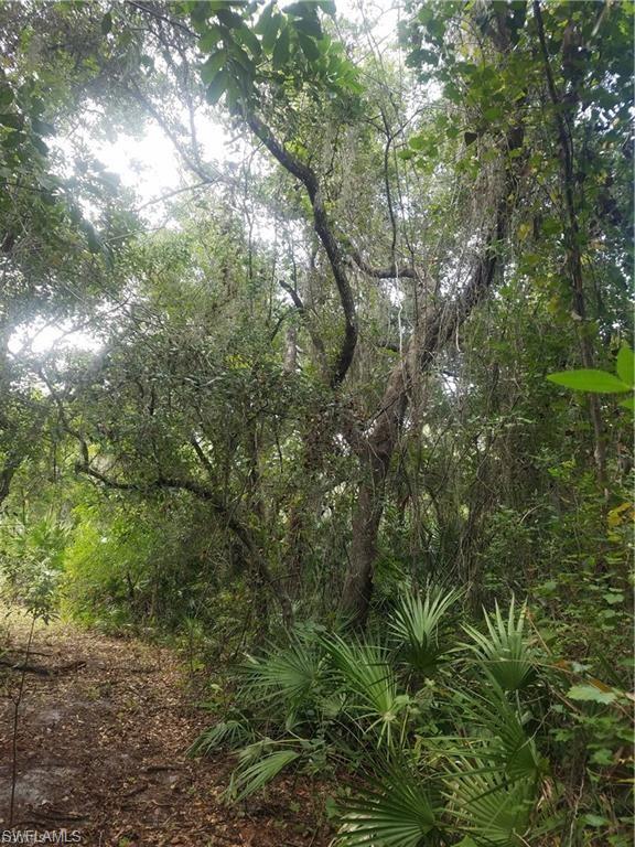 NORTH FORT MYERS - Land