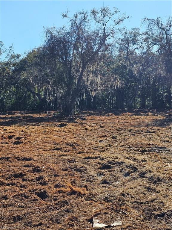 NORTH FORT MYERS - Land