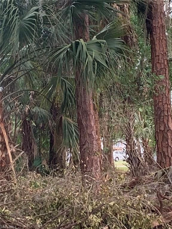 SUNCOAST ESTATES UNREC - Land