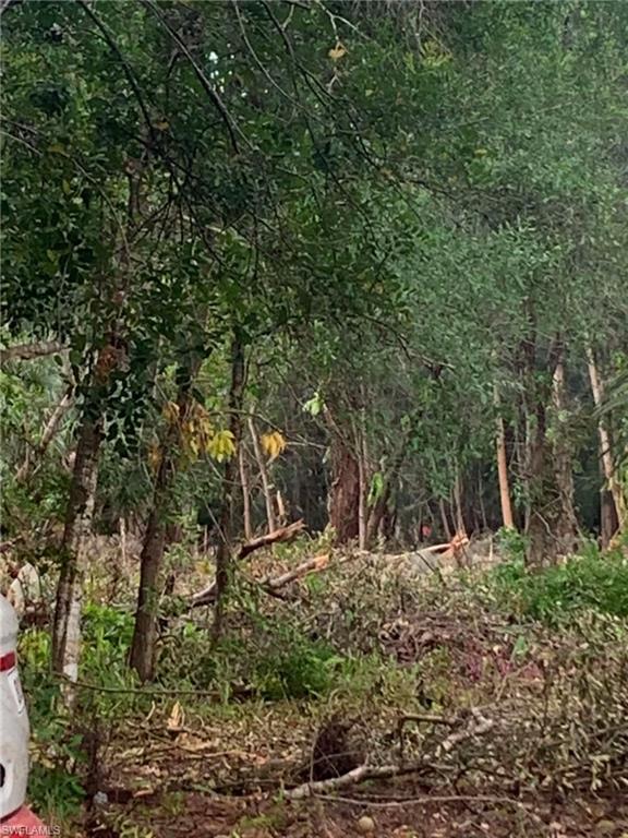 SUNCOAST ESTATES UNREC - Land