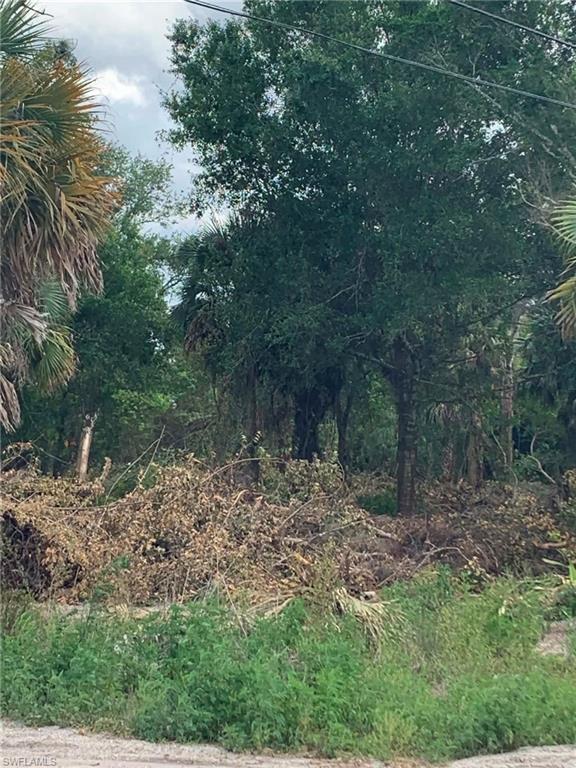 SUNCOAST ESTATES UNREC - Land