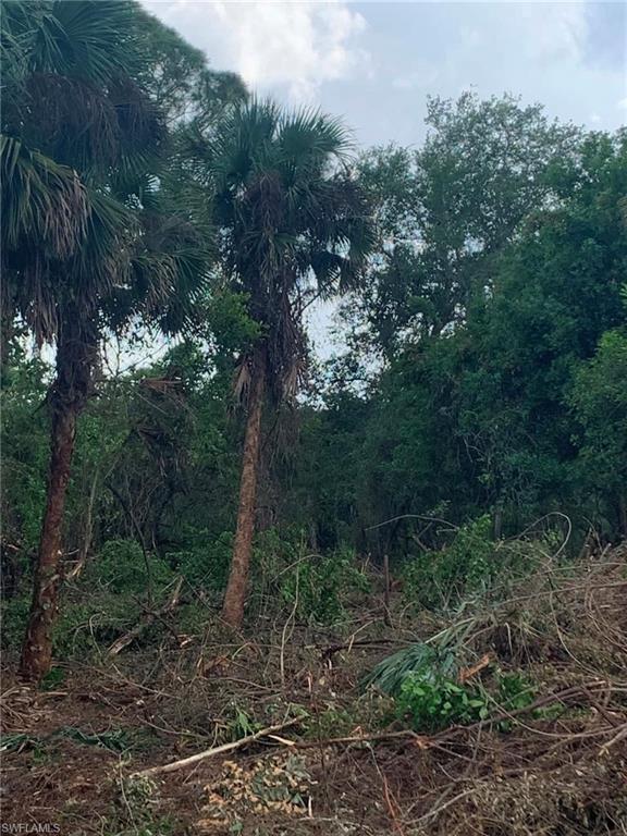 SUNCOAST ESTATES UNREC - Land