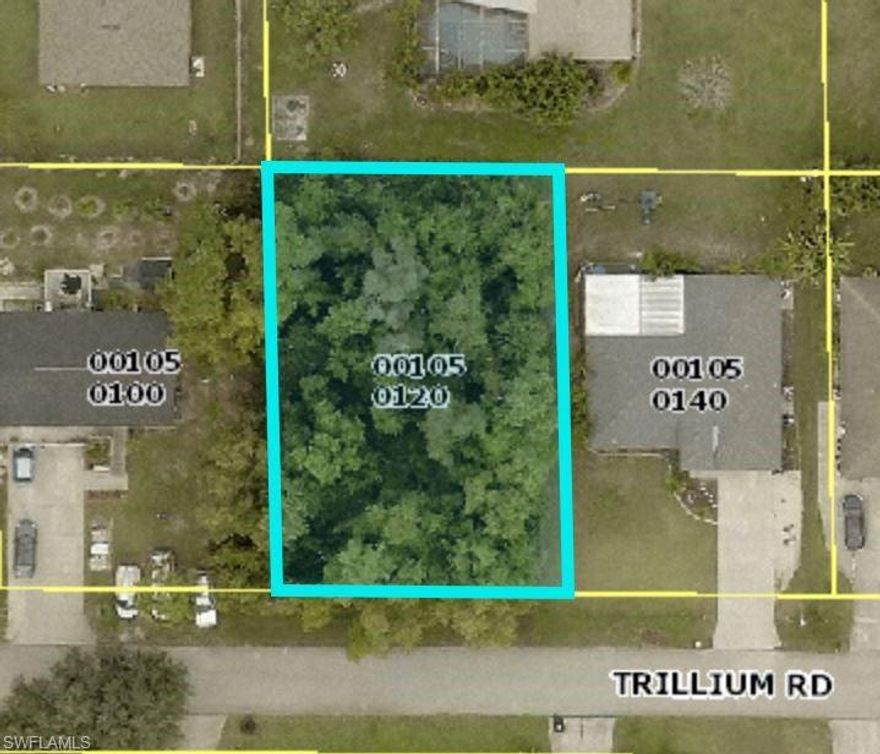 FANTASTIC STANDARD SIZED LOT conveniently located in Fort Myers near local amenities. This 80x120 lot offers ample amount of building space and is PERFECT for building your DREAM HOME! Need a builder? Let us introduce you to reputable local builders! Minutes away from shopping, parks, schools, LIVE entertainment, fine & casual dining, and more. Also just a short car ride away to award winning beaches and Southwest International Airport.