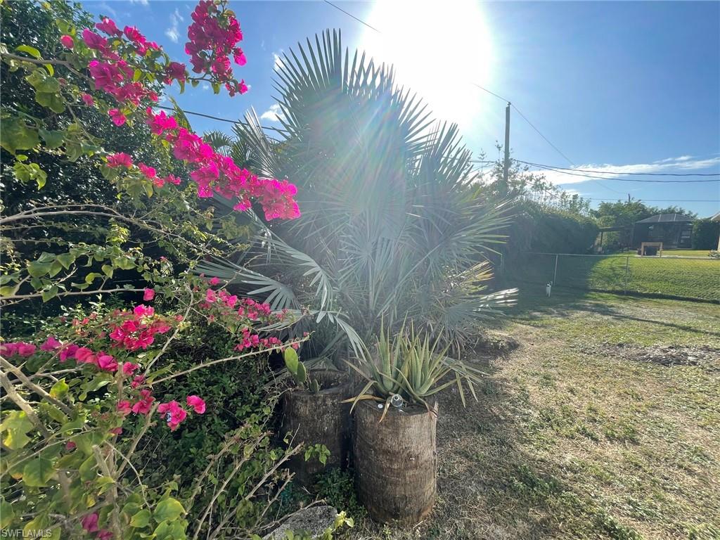 SAN CARLOS PARK - Residential