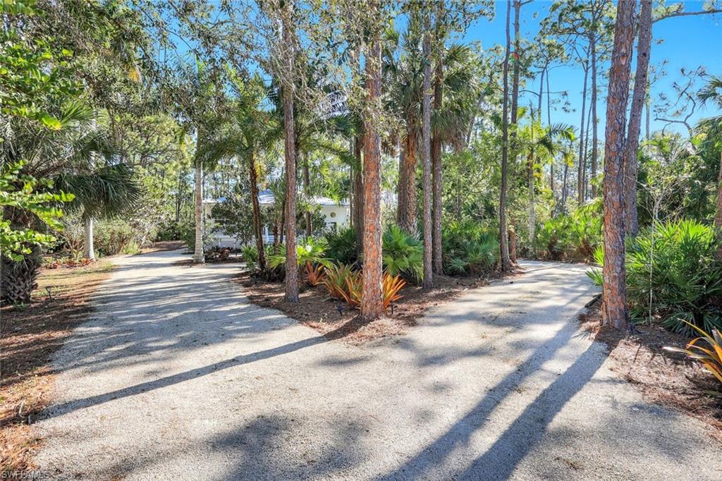 SAN CARLOS ESTATES - Residential